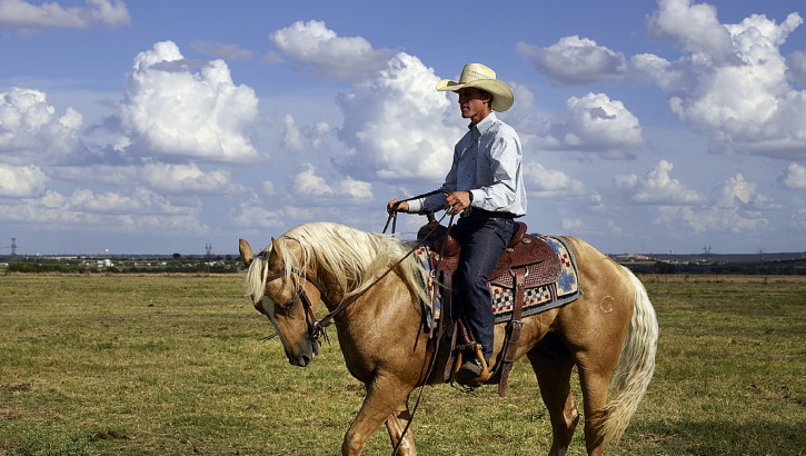 A rancher out on the range